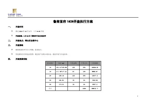 大型中高端项目开盘方案.