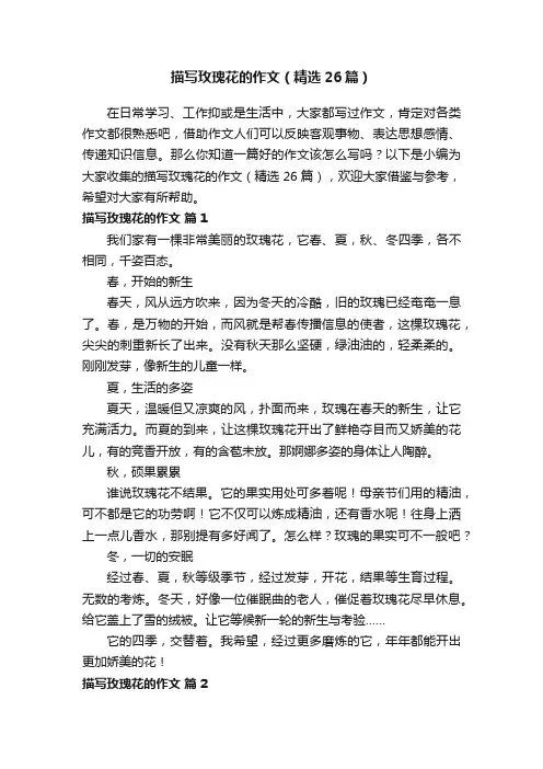 描写玫瑰花的作文（精选26篇）