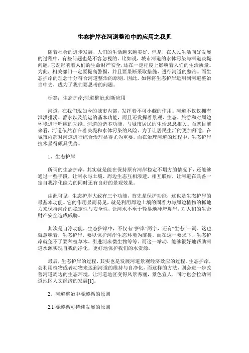 生态护岸在河道整治中的应用之我见
