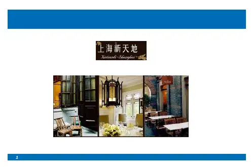 上海新天地案例综合分析