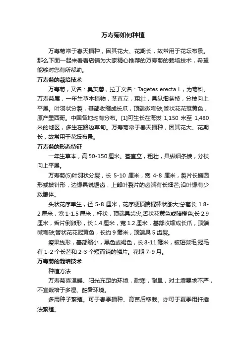 万寿菊如何种植