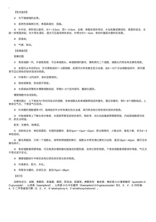 中药鉴定学：全草类中药——金钱草的鉴别