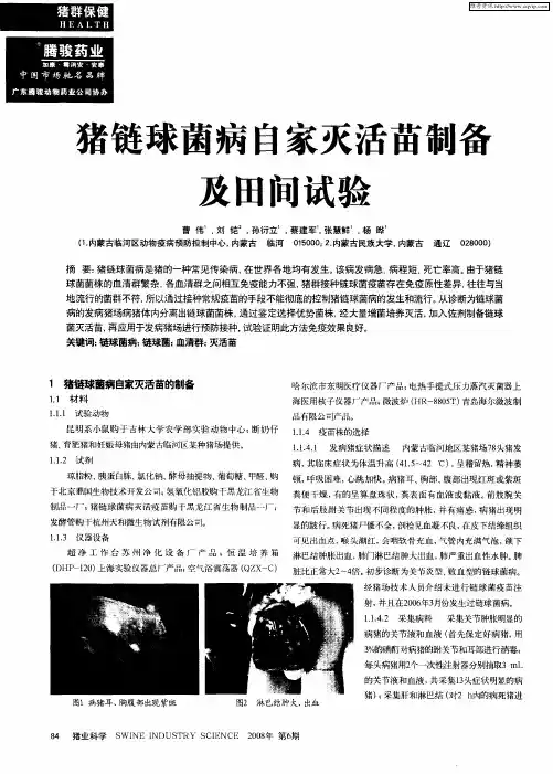 猪链球菌病自家灭活苗制备及田间试验