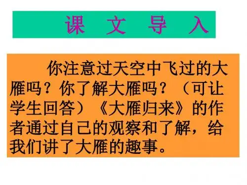 14.《大雁归来》课件