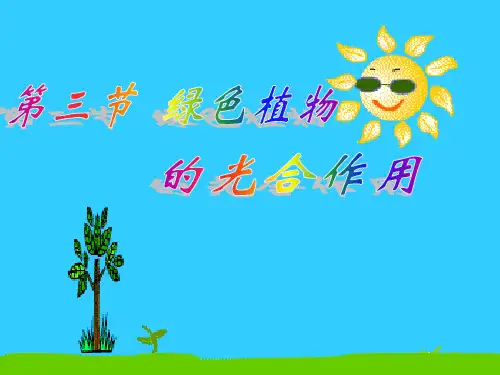 初中生物济南版七年级上册多彩的生物世界-分组实验：验证绿叶在光下制造淀粉PPT