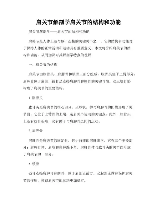 肩关节解剖学肩关节的结构和功能