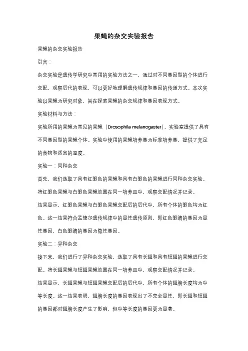 果蝇的杂交实验报告