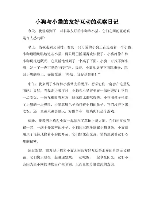 小学三年级作文小狗与小猫的友好互动的观察日记