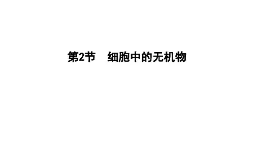 高中生物人教版(2019)必修1第2章第2节细胞中的无机物 课件(32张)
