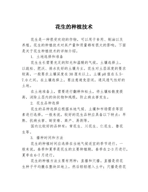 花生的种植技术