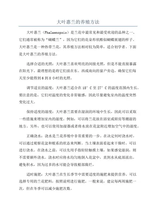 大叶惠兰的养殖方法