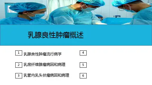 胸部疾病病人的护理—乳腺良性肿瘤病人的护理(护理课件)