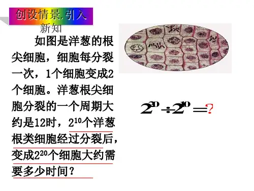 新版浙教版七年级下同底数幂的除法