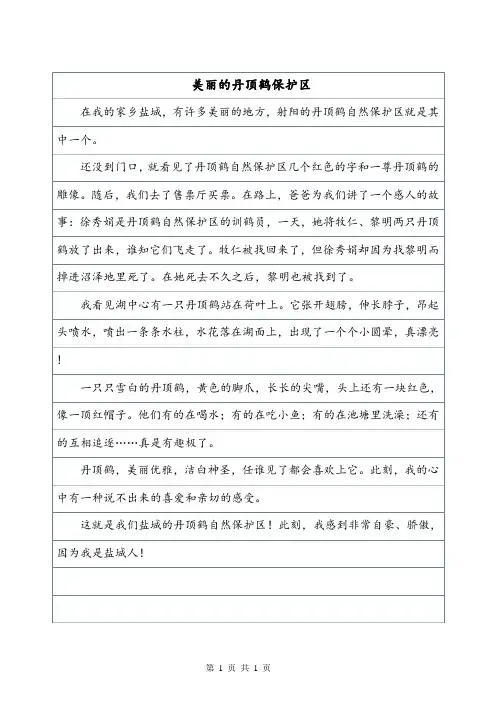《美丽的丹顶鹤保护区》400字写景作文