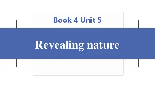 外研版(2019)选择性必修第一册Unit 5 Revealing nature 知识默写清单课件