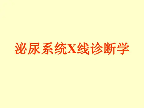 【课件】泌尿系统X线诊断学