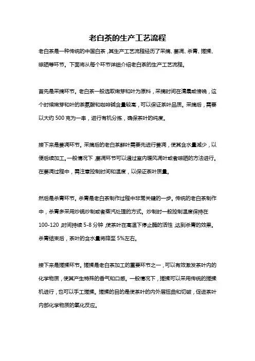 老白茶的生产工艺流程