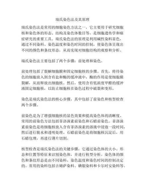 瑞氏染色法及其原理