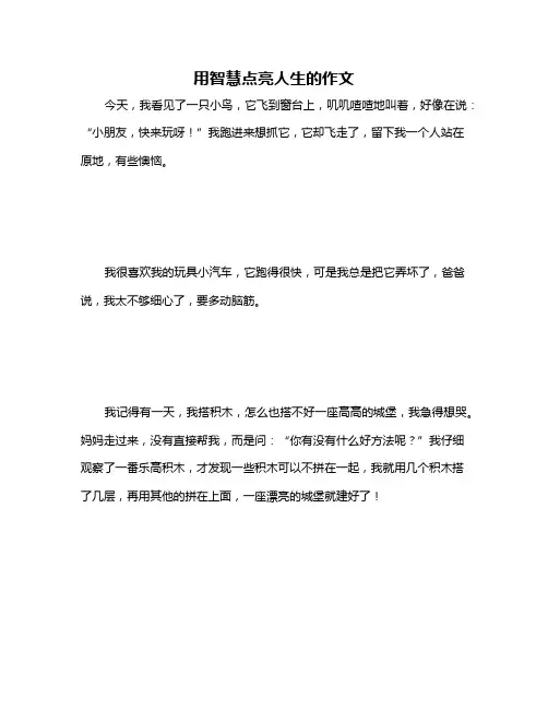用智慧点亮人生的作文