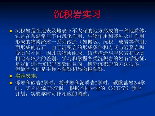 沉积岩实习