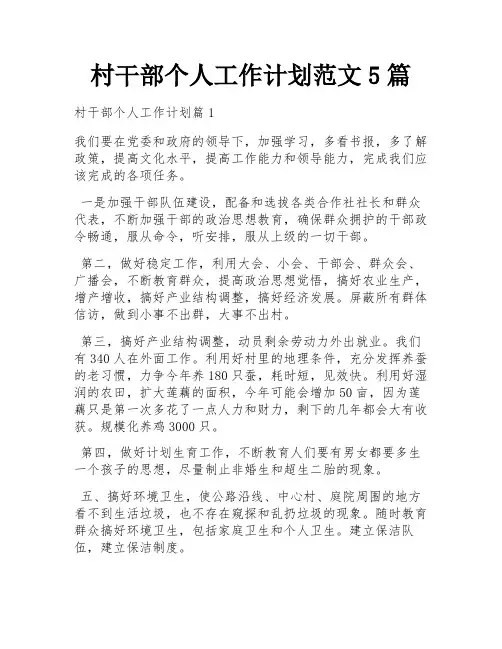 村干部个人工作计划范文5篇