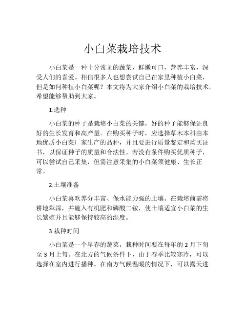 小白菜栽培技术