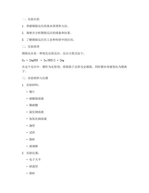 铜_银实验报告