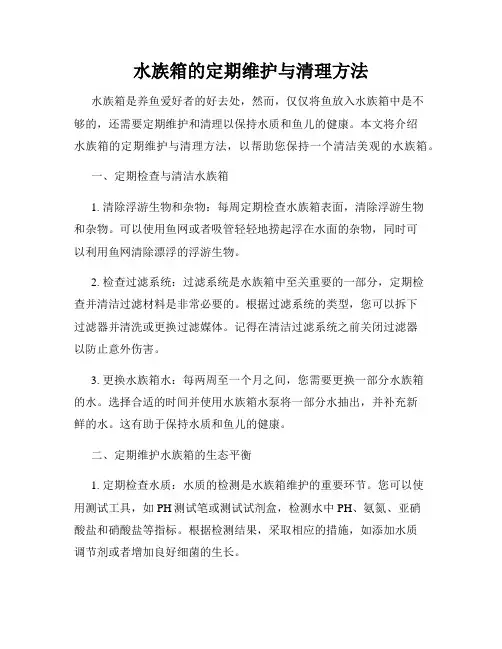 水族箱的定期维护与清理方法