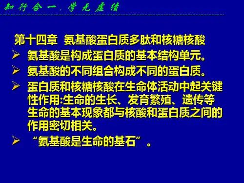 氨基酸和蛋白质