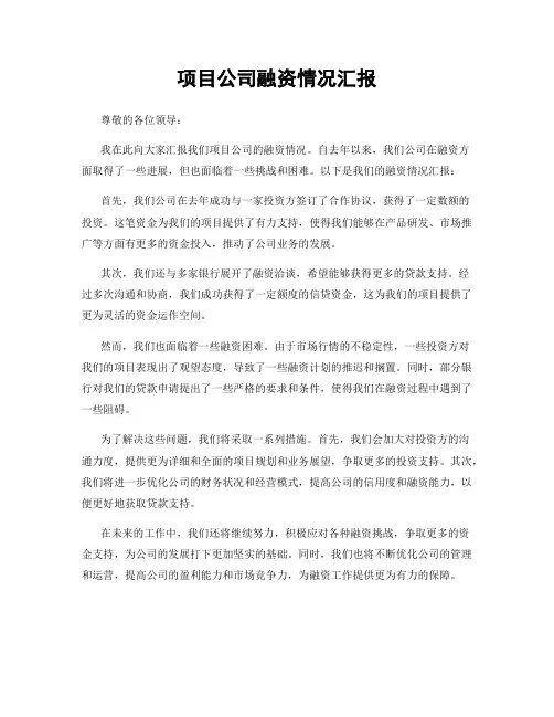 项目公司融资情况汇报