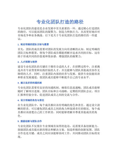 专业化团队打造的路径