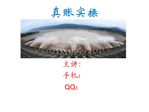 真账实操