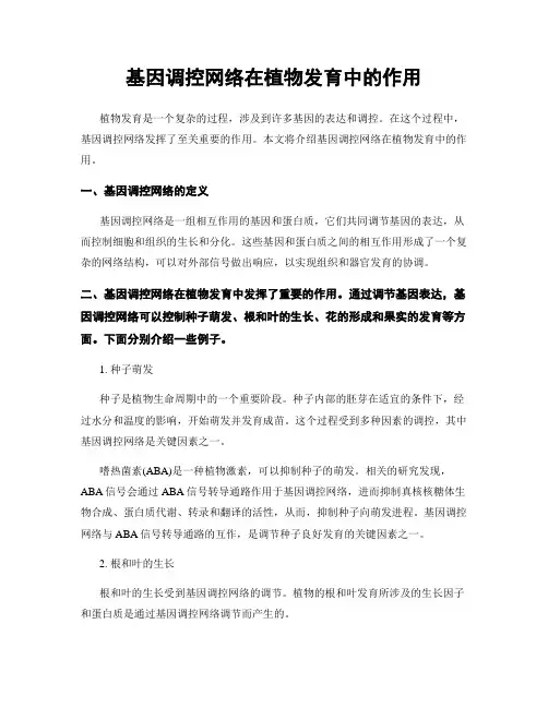 基因调控网络在植物发育中的作用