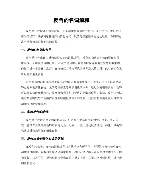 反刍的名词解释