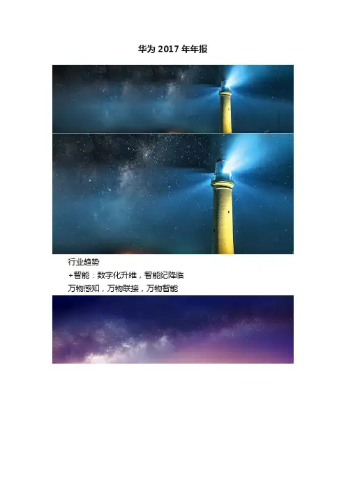 华为2017年年报