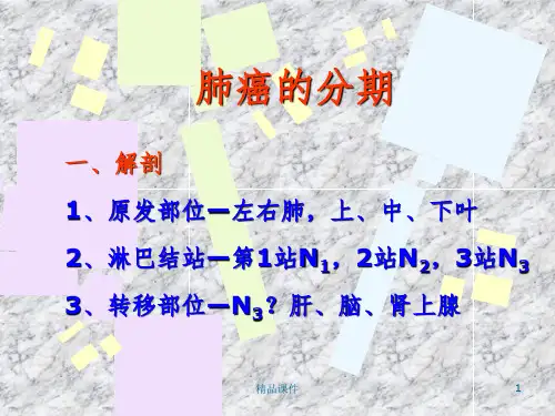 肺癌的分期ppt课件