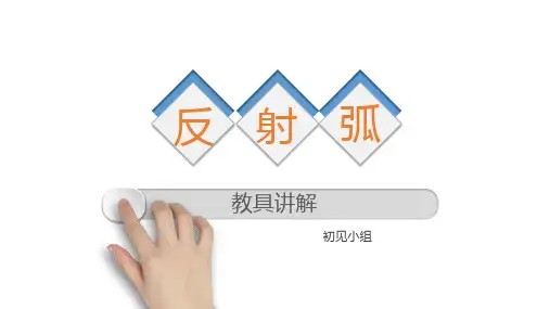 教具反射弧解说PPT(附解说词)