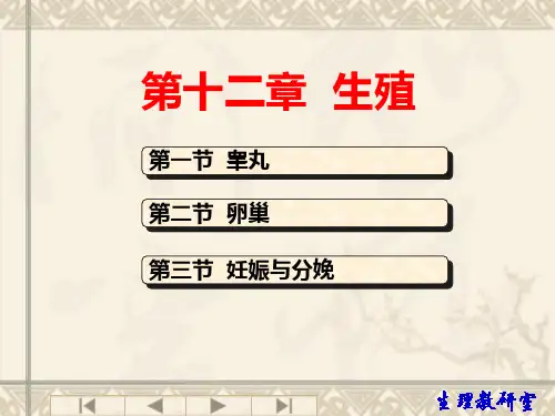 12生理学生殖系统课件