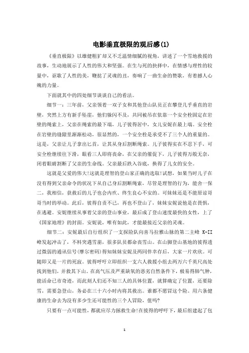 电影垂直极限的观后感800字5篇