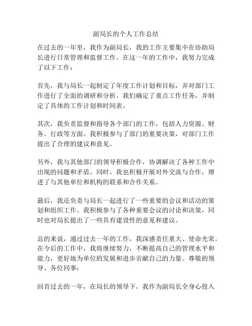 副局长的个人工作总结