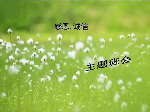 感恩.诚信主题班会ppt课件
