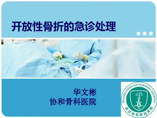 开放性骨折的诊治PPT课件