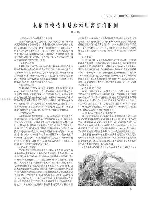 水稻育秧技术及水稻虫害防治时间