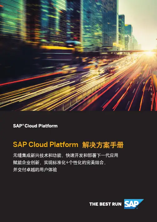 SAP Cloud Platform 解决方案手册
