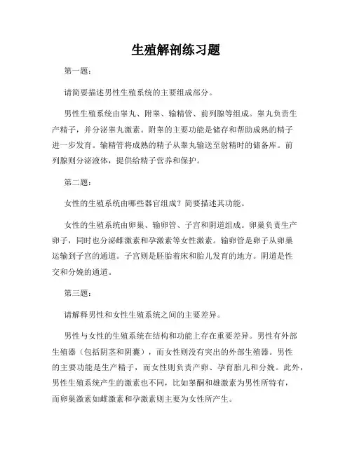 生殖解剖练习题
