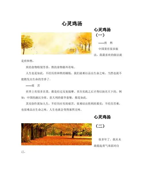 心灵鸡汤(共10篇)