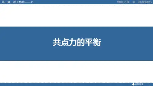 高中物理【共点力的平衡】人教版经典课件