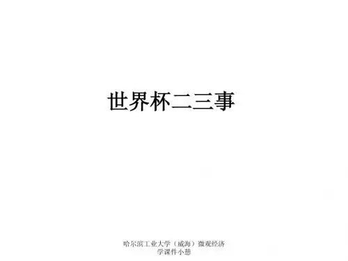 2010南非世界杯,哈尔滨工业大学(威海)微观经济学