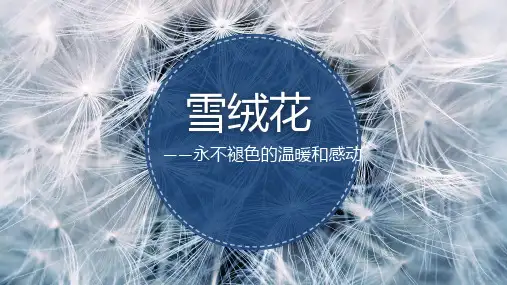 第二单元 多彩音乐剧——《雪绒花》说课课件 2024—2025学年人音版初中音乐八年级上册