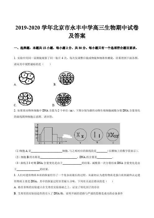2019-2020学年北京市永丰中学高三生物期中试卷及答案
